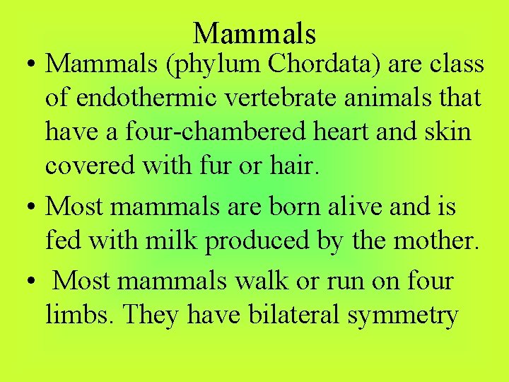 Mammals • Mammals (phylum Chordata) are class of endothermic vertebrate animals that have a