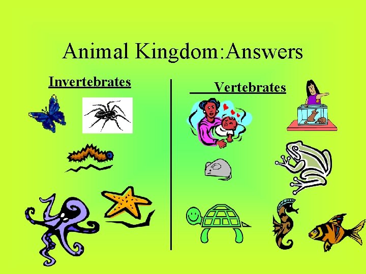 Animal Kingdom: Answers Invertebrates Vertebrates 