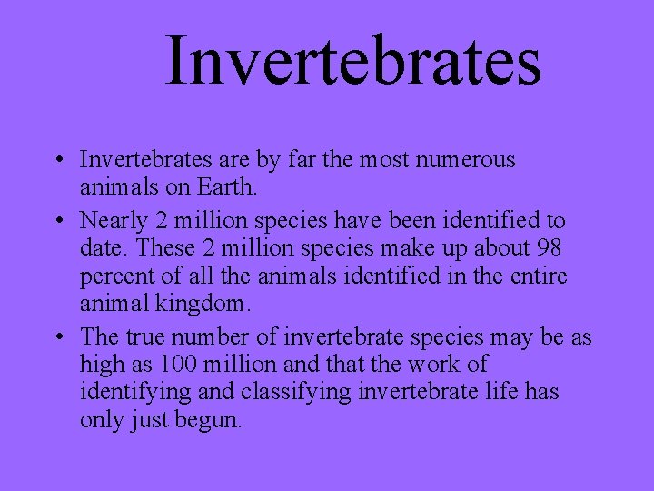 Invertebrates • Invertebrates are by far the most numerous animals on Earth. • Nearly