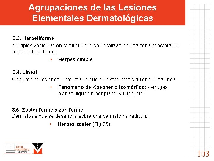 Agrupaciones de las Lesiones Elementales Dermatológicas 3. 3. Herpetiforme Múltiples vesículas en ramillete que