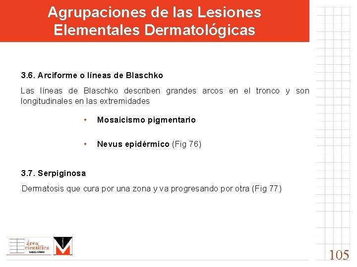 Agrupaciones de las Lesiones Elementales Dermatológicas 3. 6. Arciforme o líneas de Blaschko Las