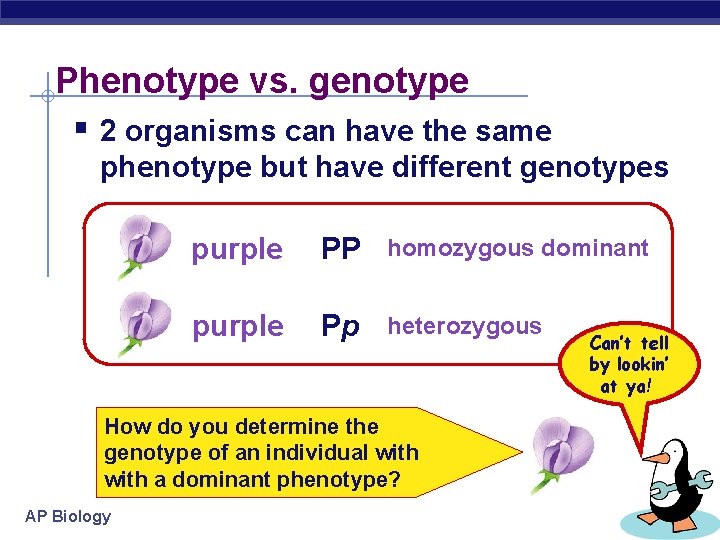 Phenotype vs. genotype § 2 organisms can have the same phenotype but have different