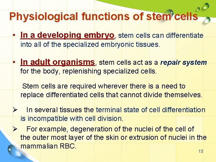 Physiological functions of stem cells • In a developing embryo, stem cells can differentiate