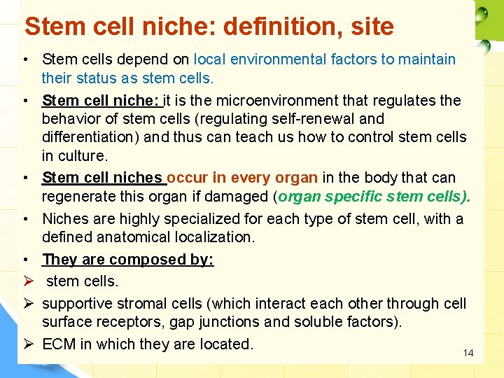 Stem cell niche: definition, site • Stem cells depend on local environmental factors to