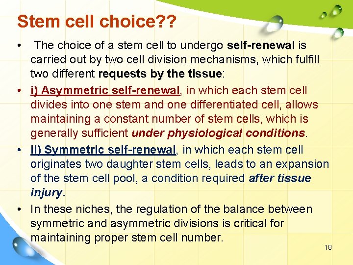 Stem cell choice? ? • The choice of a stem cell to undergo self-renewal