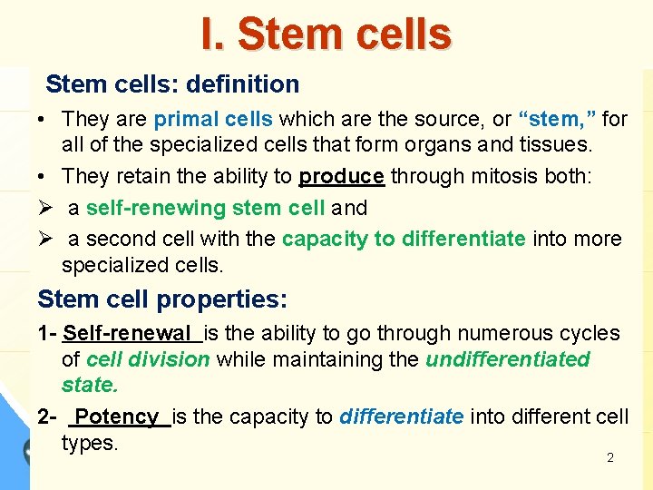 I. Stem cells: definition • They are primal cells which are the source, or