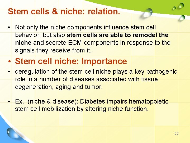 Stem cells & niche: relation. • Not only the niche components influence stem cell