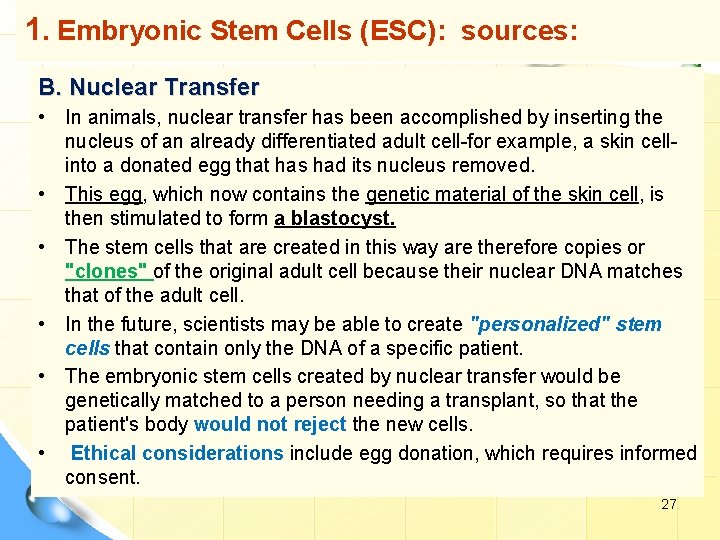 1. Embryonic Stem Cells (ESC): sources: B. Nuclear Transfer • In animals, nuclear transfer
