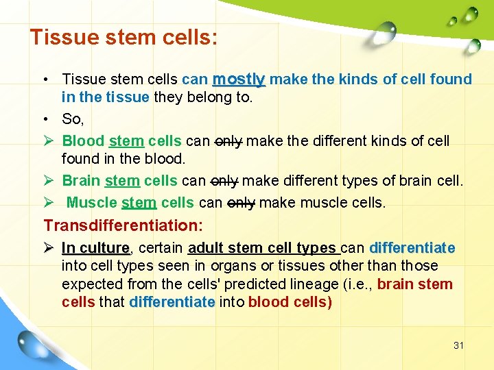 Tissue stem cells: • Tissue stem cells can mostly make the kinds of cell