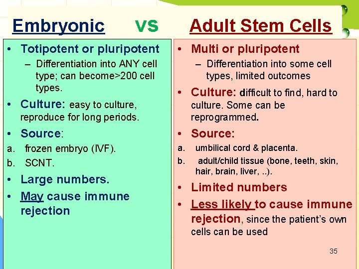 Embryonic vs • Totipotent or pluripotent – Differentiation into ANY cell type; can become>200
