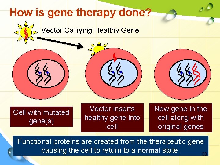 How is gene therapy done? Vector Carrying Healthy Gene Cell with mutated gene(s) Vector