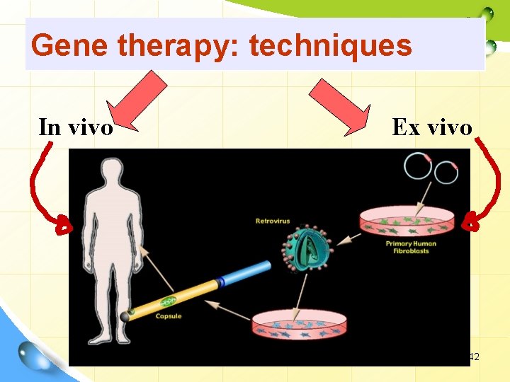 Gene therapy: techniques In vivo Ex vivo 42 