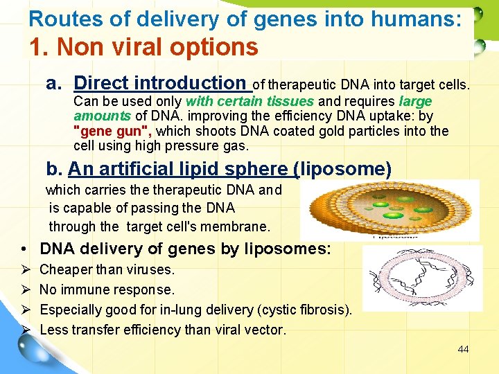 Routes of delivery of genes into humans: 1. Non viral options a. Direct introduction