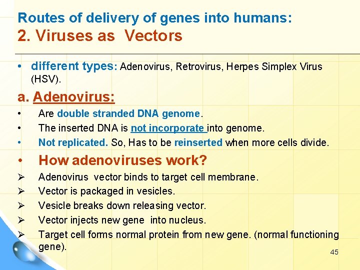 Routes of delivery of genes into humans: 2. Viruses as Vectors • different types: