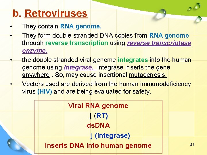 b. Retroviruses • • They contain RNA genome. They form double stranded DNA copies