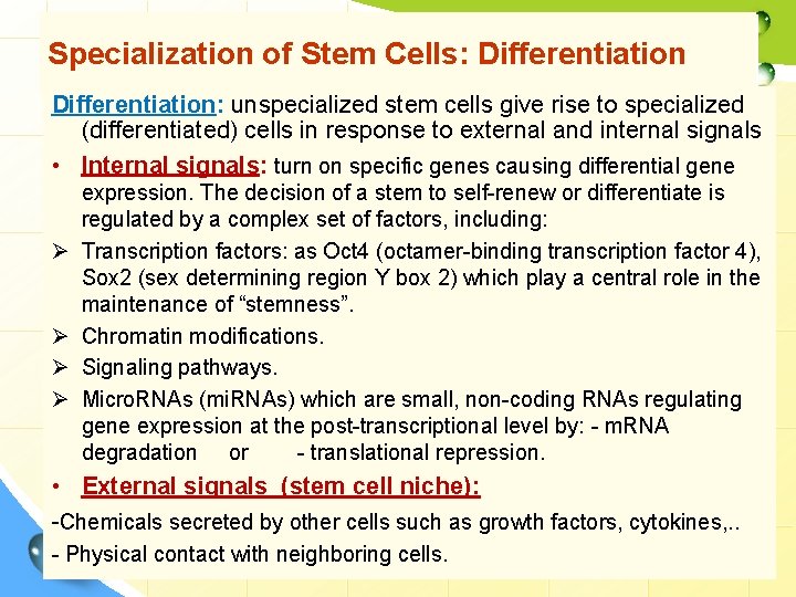 Specialization of Stem Cells: Differentiation: unspecialized stem cells give rise to specialized (differentiated) cells