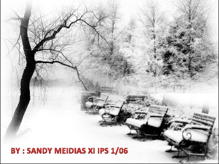 BY : SANDY MEIDIAS XI IPS 1/06 