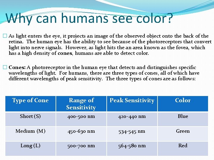 Why can humans see color? � As light enters the eye, it projects an