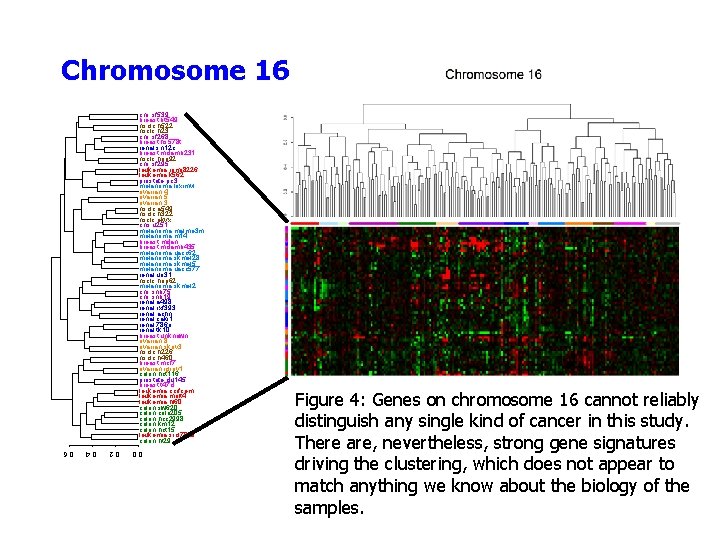Chromosome 16 cns. sf 539 breast. bt 549 nsclc. h 522 nsclc. h 23