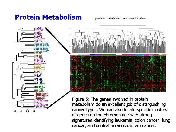 Protein Metabolism cns. sf 268 breast. bt 549 nsclc. hop 92 cns. u 251