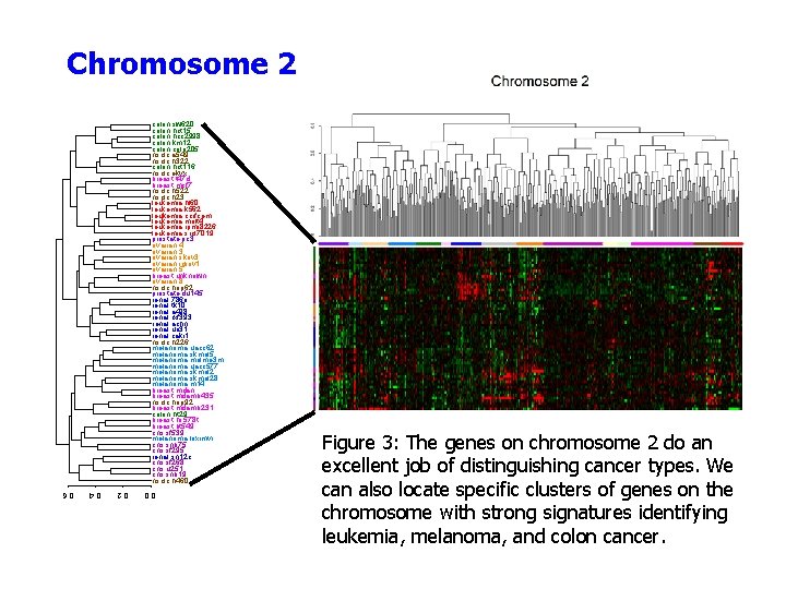 Chromosome 2 colon. sw 620 colon. hct 15 colon. hcc 2998 colon. km 12