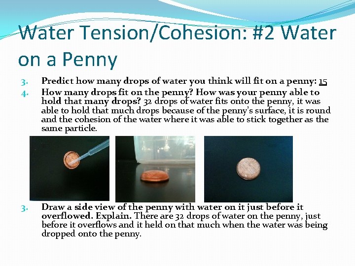 Water Tension/Cohesion: #2 Water on a Penny 3. 4. Predict how many drops of