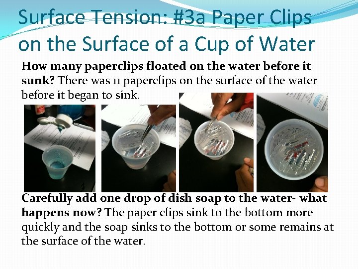Surface Tension: #3 a Paper Clips on the Surface of a Cup of Water