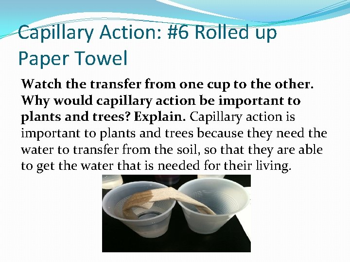 Capillary Action: #6 Rolled up Paper Towel Watch the transfer from one cup to