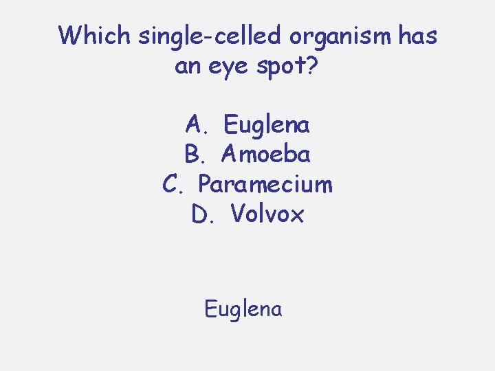 Which single-celled organism has an eye spot? A. Euglena B. Amoeba C. Paramecium D.