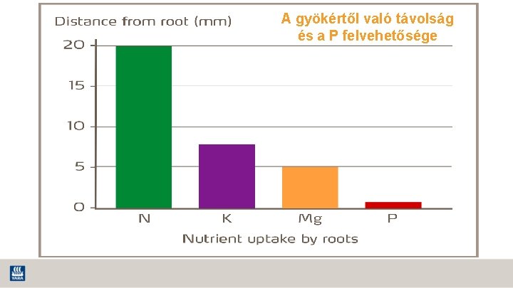 A gyökértől való távolság és a P felvehetősége 