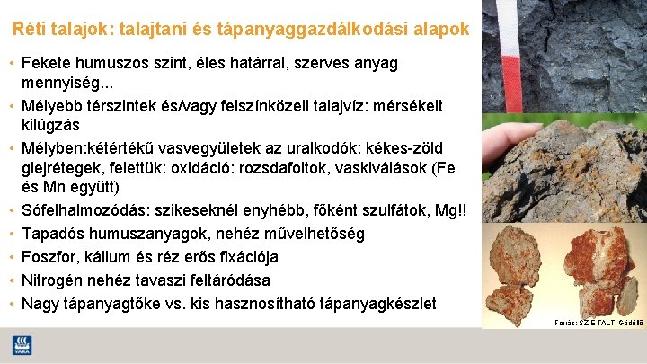 Réti talajok: talajtani és tápanyaggazdálkodási alapok • Fekete humuszos szint, éles határral, szerves anyag