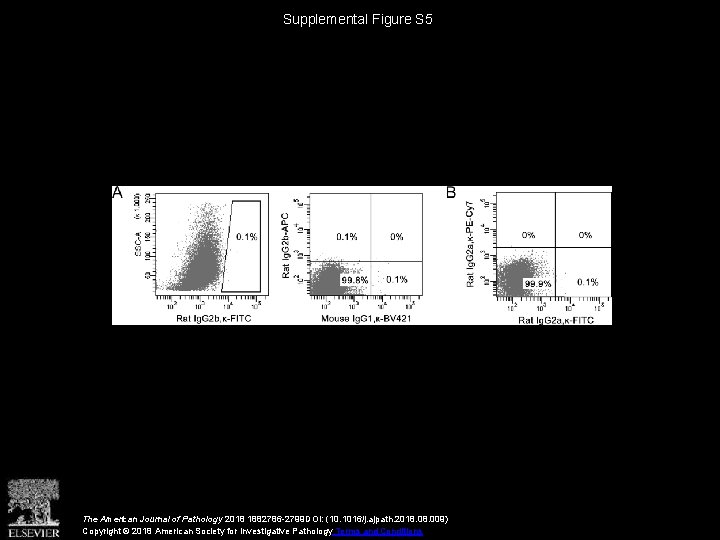 Supplemental Figure S 5 The American Journal of Pathology 2018 1882786 -2799 DOI: (10.