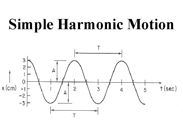 Simple Harmonic Motion 