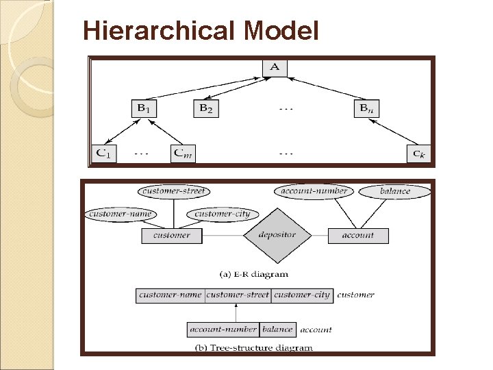 Hierarchical Model 