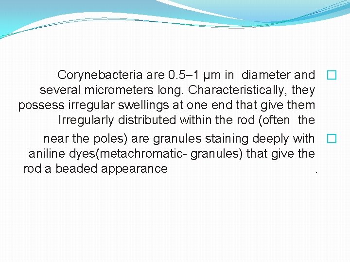 Corynebacteria are 0. 5– 1 μm in diameter and � several micrometers long. Characteristically,