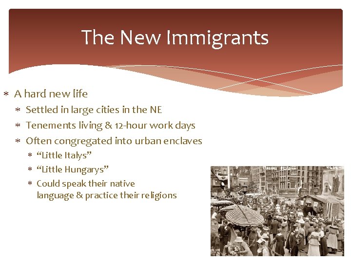 The New Immigrants A hard new life Settled in large cities in the NE