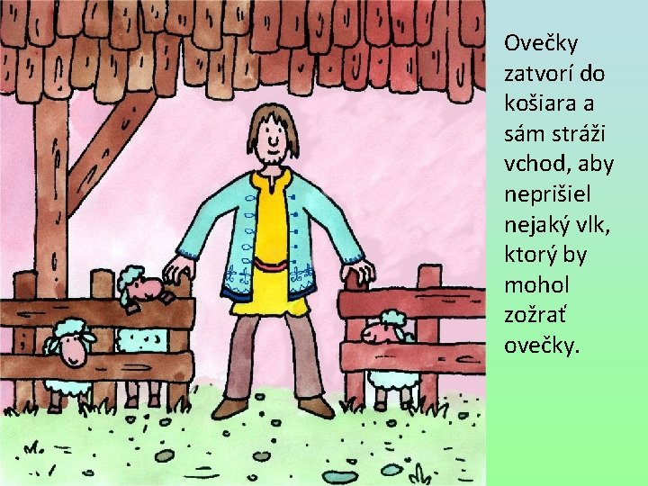 Ovečky zatvorí do košiara a sám stráži vchod, aby neprišiel nejaký vlk, ktorý by
