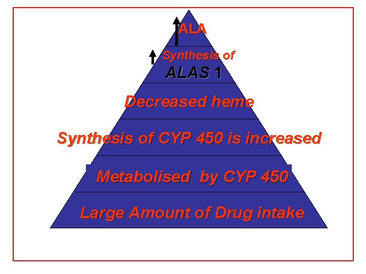 ALA Synthesis of ALAS 1 Decreased heme Synthesis of CYP 450 is increased Metabolised