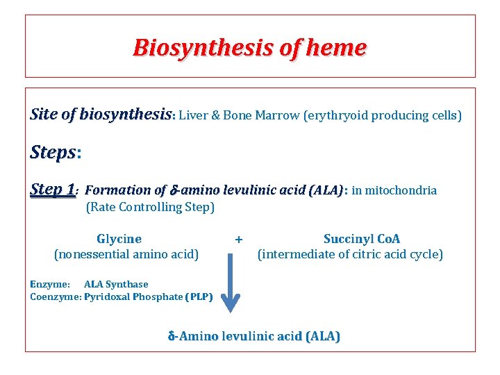 Biosynthesis of heme Site of biosynthesis: Liver & Bone Marrow (erythryoid producing cells) Steps: