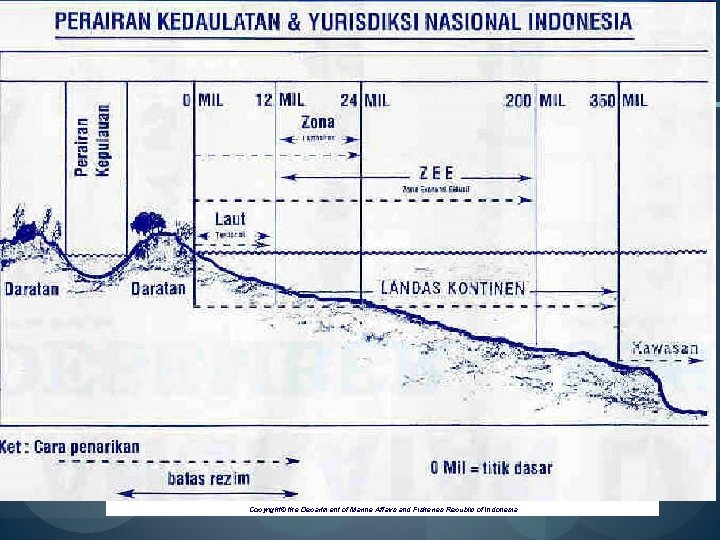 Copyright© the Department of Marine Affairs and Fisheries Republic of Indonesia 