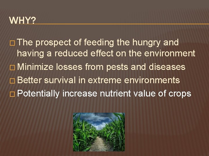 WHY? � The prospect of feeding the hungry and having a reduced effect on