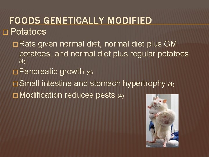 FOODS GENETICALLY MODIFIED � Potatoes � Rats given normal diet, normal diet plus GM