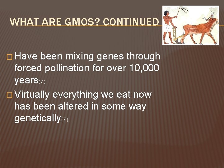 WHAT ARE GMOS? CONTINUED � Have been mixing genes through forced pollination for over
