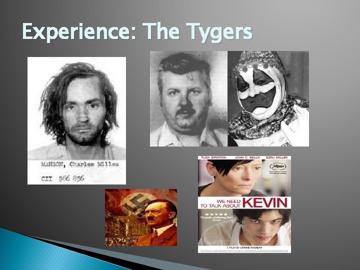 Experience: The Tygers 