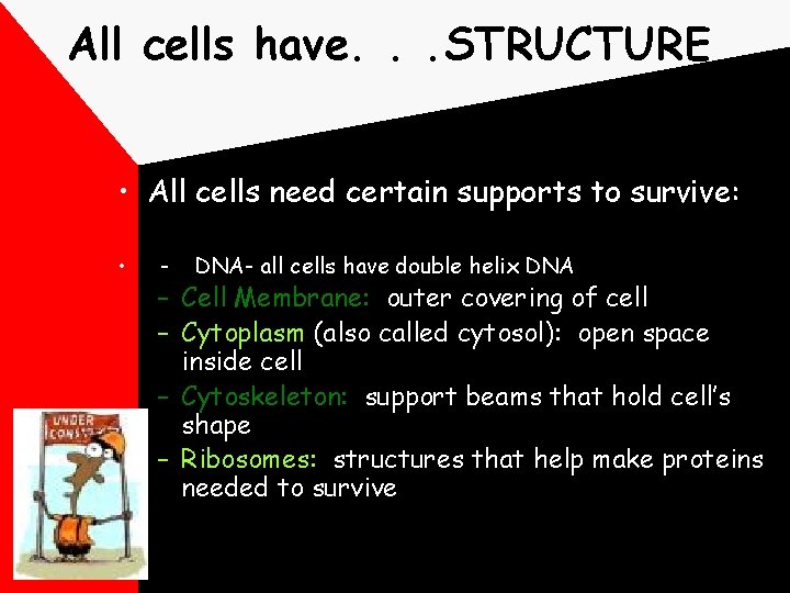 All cells have. . . STRUCTURE • All cells need certain supports to survive: