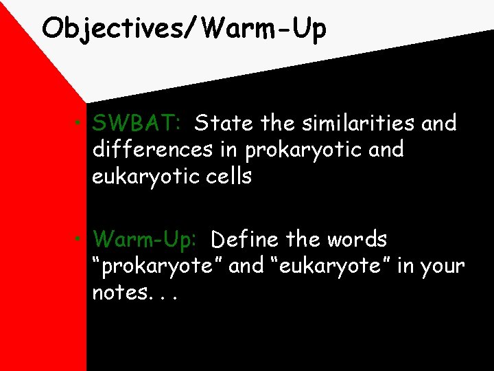 Objectives/Warm-Up • SWBAT: State the similarities and differences in prokaryotic and eukaryotic cells •