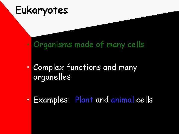 Eukaryotes • Organisms made of many cells • Complex functions and many organelles •