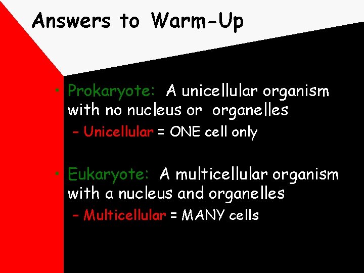 Answers to Warm-Up • Prokaryote: A unicellular organism with no nucleus or organelles –