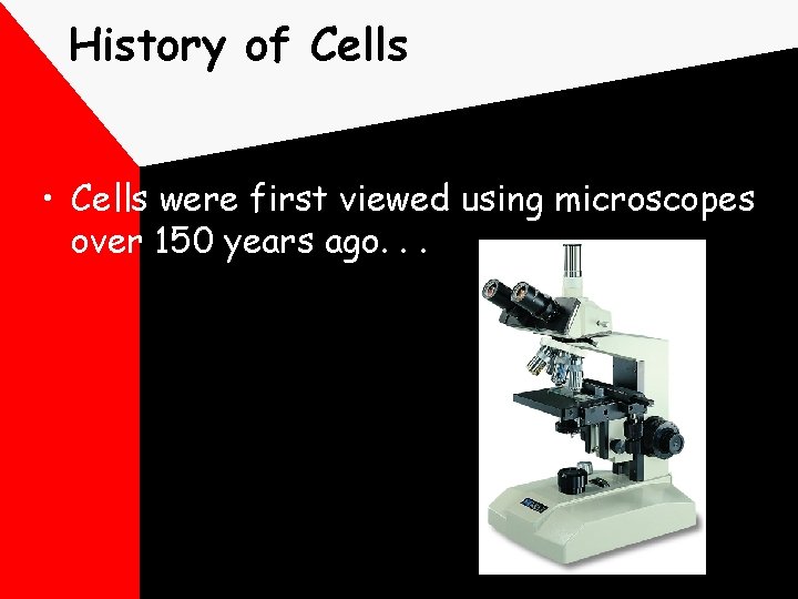 History of Cells • Cells were first viewed using microscopes over 150 years ago.