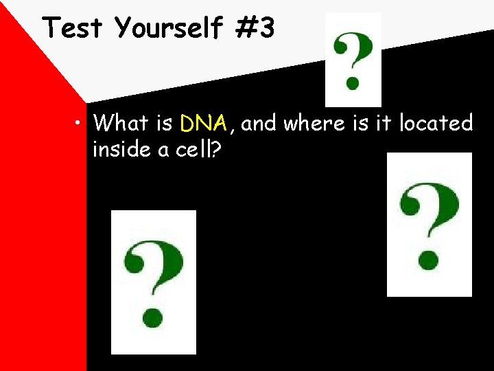 Test Yourself #3 • What is DNA, and where is it located inside a